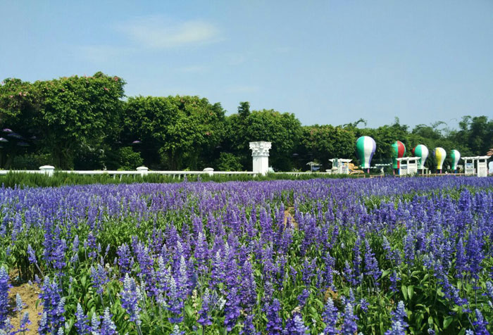 百萬葵園-游樂設(shè)備 百萬葵園-游樂設(shè)備