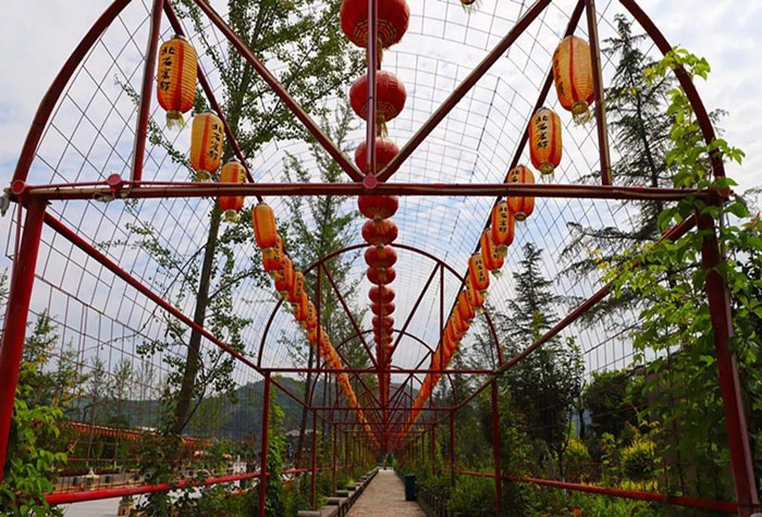 1552286242335217.jpg 5-700.jpg