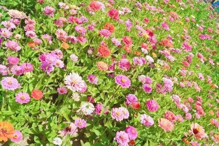 1552286722125932.jpg 22.jpg