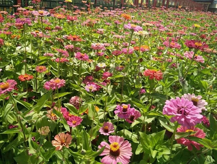 1552286739108564.jpg 24.jpg